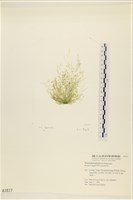 登錄號:A00001617藏品圖，第1張