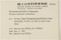 登錄號:A00001618藏品圖，第2張