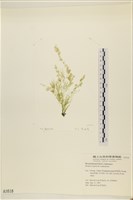 登錄號:A00001618藏品圖，第1張