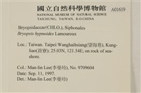 登錄號:A00001619藏品圖，第2張