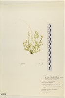 登錄號:A00001619藏品圖，第3張