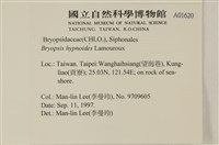 登錄號:A00001620藏品圖，第2張