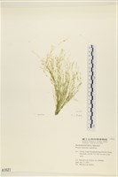登錄號:A00001621藏品圖，第3張