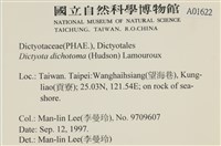 網目藻藏品圖，第2張