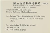 網目藻藏品圖，第2張