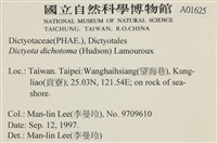 網目藻藏品圖，第2張