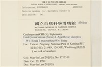 登錄號:A00001640藏品圖，第2張