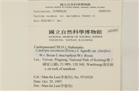 登錄號:A00001641藏品圖，第2張