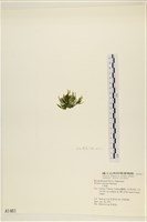 登錄號:A00001641藏品圖，第3張