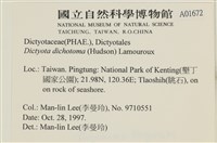 網目藻藏品圖，第2張