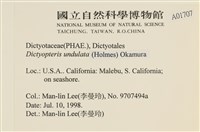 登錄號:A00001707藏品圖，第2張