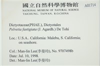 登錄號:A00001714藏品圖，第2張