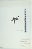 登錄號:A00001714藏品圖，第3張