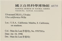 登錄號:A00001716藏品圖，第2張