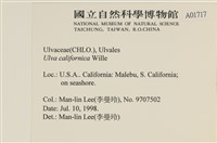 登錄號:A00001717藏品圖，第2張