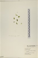 登錄號:A00001717藏品圖，第1張