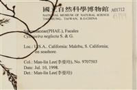 登錄號:A00001719藏品圖，第2張