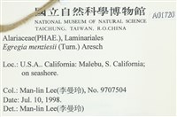 登錄號:A00001720藏品圖，第2張