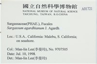 登錄號:A00001721藏品圖，第2張