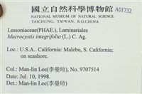 登錄號:A00001732藏品圖，第2張