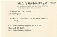 登錄號:A00001734藏品圖，第2張