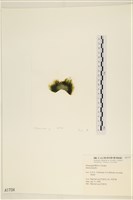 登錄號:A00001734藏品圖，第3張
