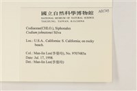 登錄號:A00001745藏品圖，第2張