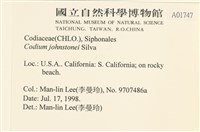 登錄號:A00001747藏品圖，第2張