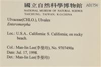 登錄號:A00001754藏品圖，第2張