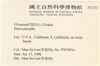 登錄號:A00001755藏品圖，第2張