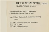 登錄號:A00001777藏品圖，第2張