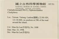 登錄號:A00001781藏品圖，第2張