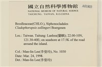 登錄號:A00001803藏品圖，第2張