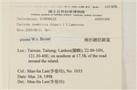 登錄號:A00001808藏品圖，第2張