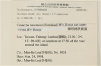 登錄號:A00001811藏品圖，第2張