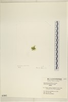 登錄號:A00001841藏品圖，第3張