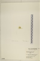 登錄號:A00001842藏品圖，第3張