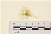 登錄號:A00001842藏品圖，第1張