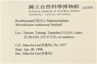 登錄號:A00001846藏品圖，第2張