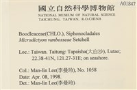 登錄號:A00001847藏品圖，第2張