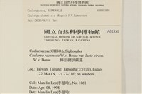 登錄號:A00001850藏品圖，第2張