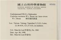 登錄號:A00001850藏品圖，第3張