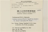 登錄號:A00001851藏品圖，第2張