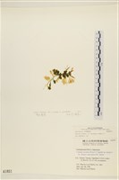 登錄號:A00001851藏品圖，第3張