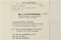 登錄號:A00001852藏品圖，第2張