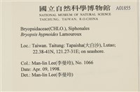 登錄號:A00001855藏品圖，第2張