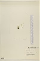 登錄號:A00001855藏品圖，第3張