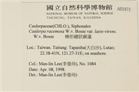 登錄號:A00001873藏品圖，第3張