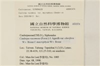 登錄號:A00001874藏品圖，第2張