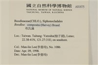 布氏藻藏品圖，第2張